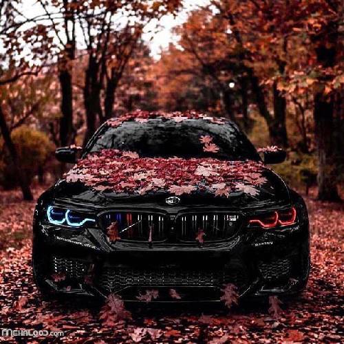 رائوف فایک Wonderful